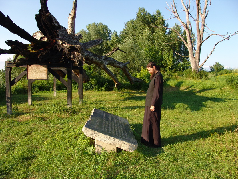 Jasenovac